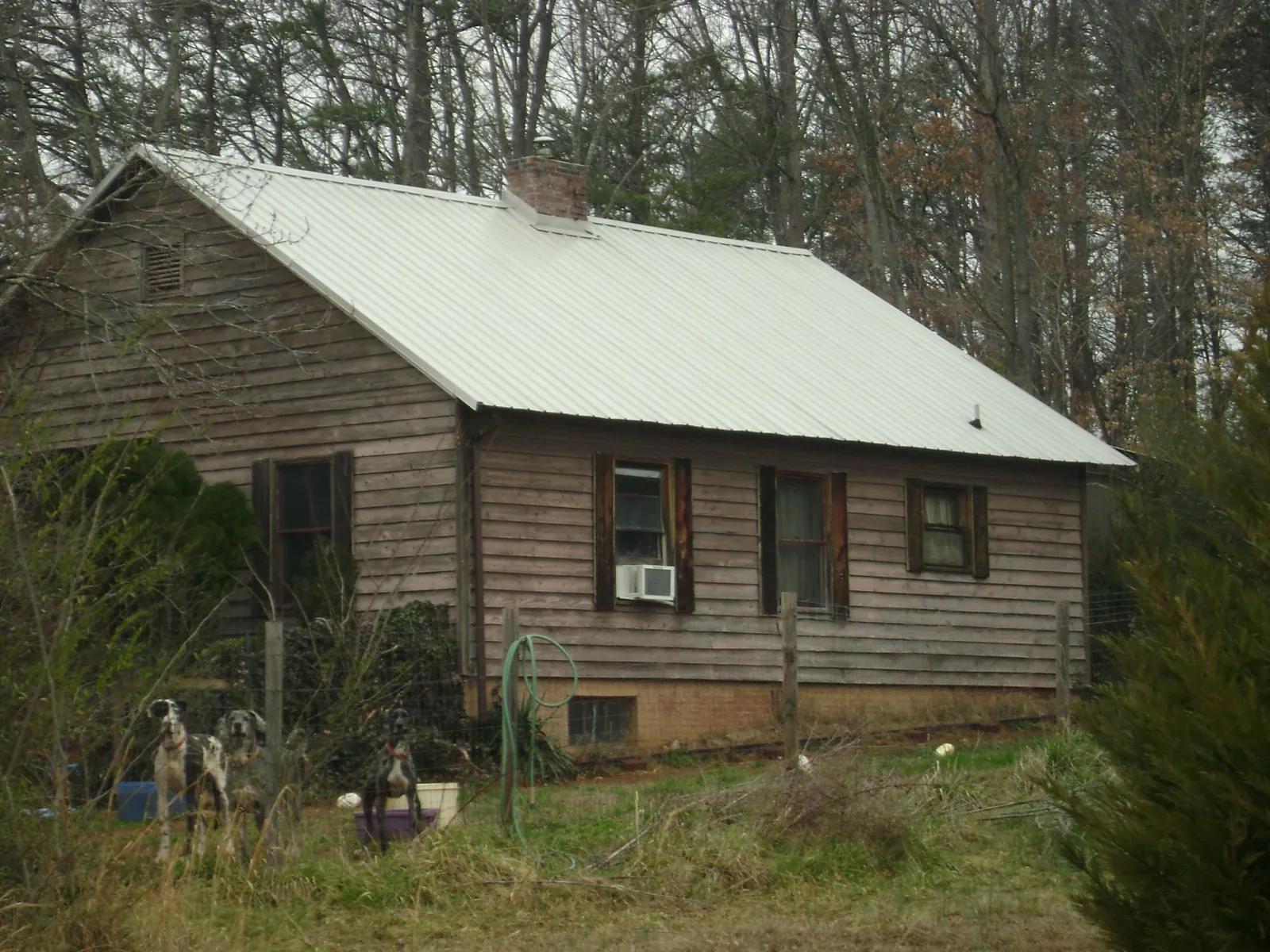 White metal roof on an old wood sided farmhouse, from a Asphalt Shingle Roof Repair job in Amesville